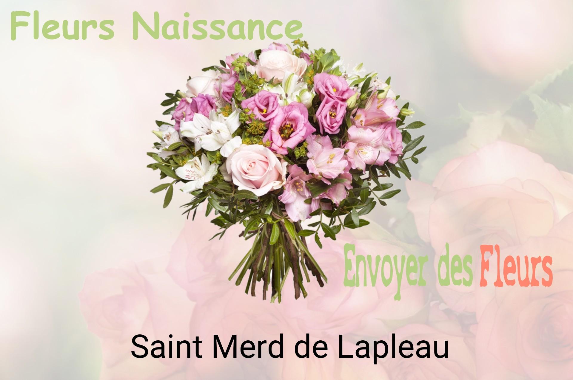 Bouquet de fleurs de naissance livré à Saint-Merd-de-Lapleau